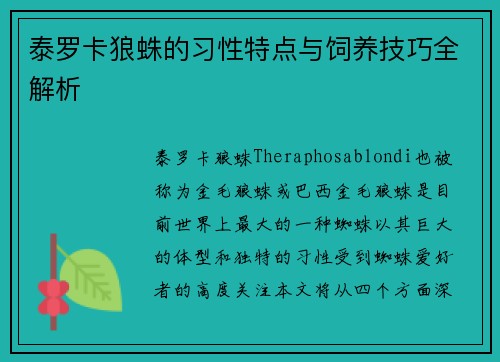 泰罗卡狼蛛的习性特点与饲养技巧全解析